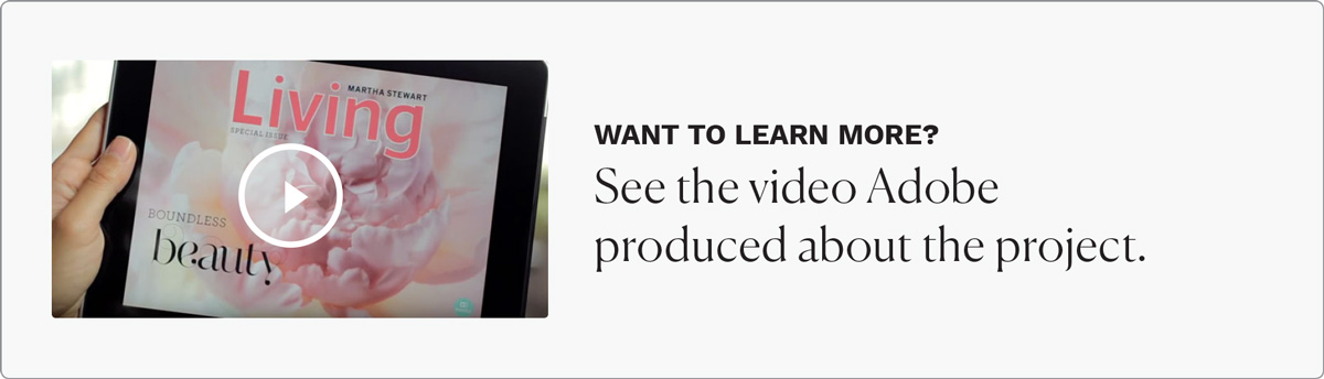martha-stewart-video-prompt-2